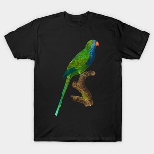 Black Panther Art - Beautiful Parrot 6 T-Shirt